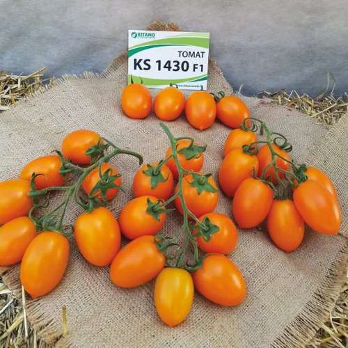 Томат Бенігара (KC1430) F1 | Benigara (KS1430) F1 Kitano Seeds 10нас. Томат Бенігара (KC1430) F1 | Benigara (KS1430) F1 Kitano Seeds 10нас.