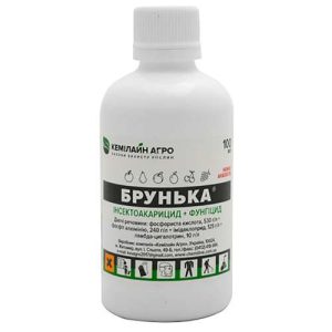 Брунька 100мл