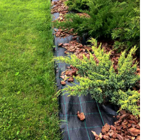 Агротканина Agrocover чорна 100 г/м² 1,05х100 м Агротканина Agrocover чорна 100 г/м² 1,05х100 м