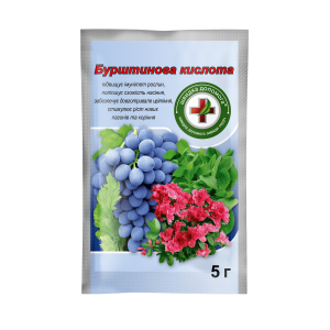 Бурштинова кислота - 5 г