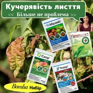 Комплект захисту персика від кучерявості листя — Хорус, Міравіс, Скор