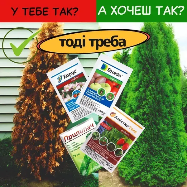komplekt zakhystu khvoinykh na vesni 67652734570397 (1) Комплект захисту хвойних навесні — Енжіо, Хорус, Амістар Голд