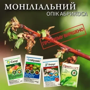 Комплект захисту абрикоса від моніліозу — Хорус, Міравіс, Скор