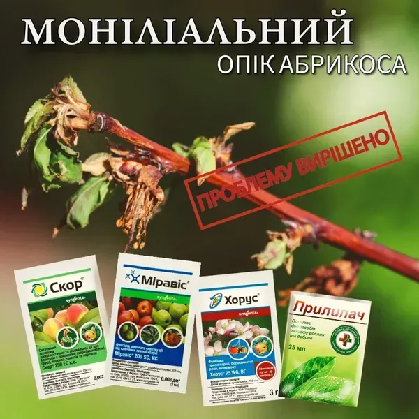 komplekt zakhystu proty kurchiavosti lystia abrykosu 94852980019469 Комплект захисту абрикоса від моніліозу — Хорус, Міравіс, Скор