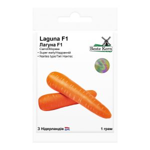 Насіння моркви Лагуна F1 Beste Kern 1г.