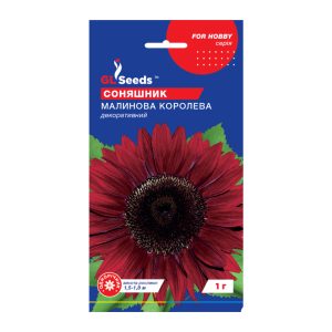 Соняшник Малинова королева (1г)